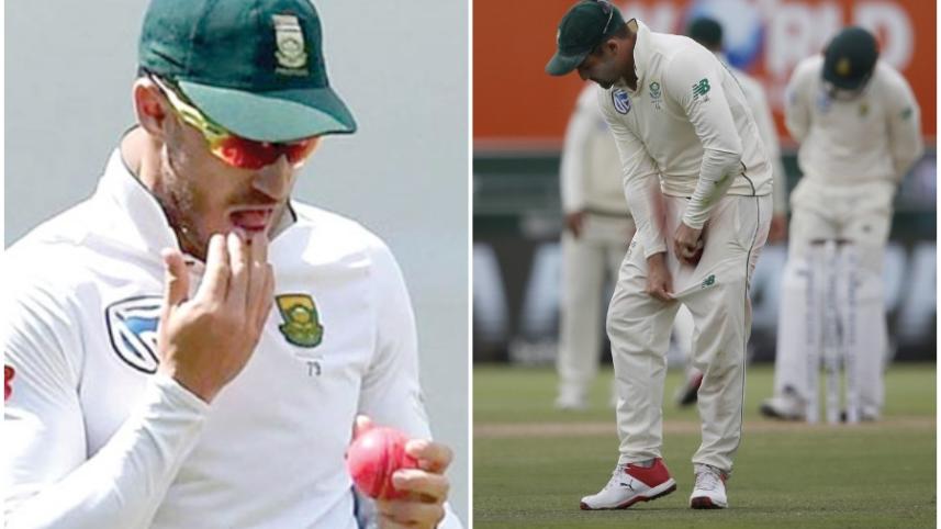 cricket shines the ball 