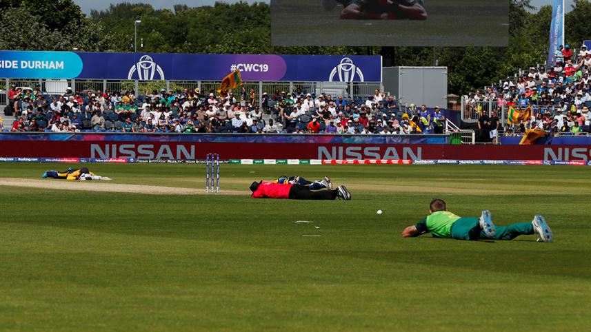 south africa vs sri lanka bee