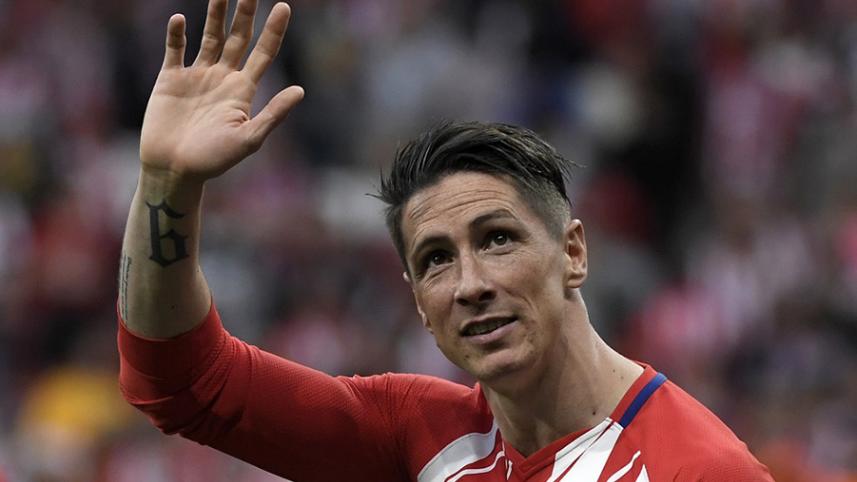 fernando torres