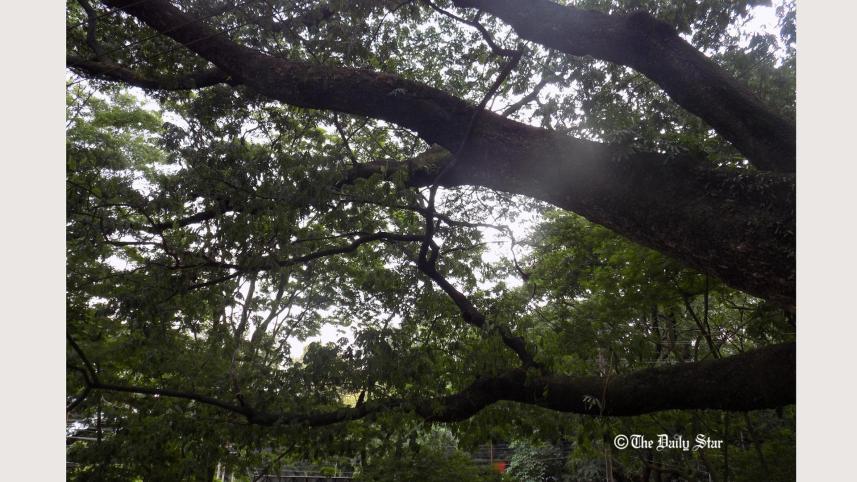 crb_where_ctg_people