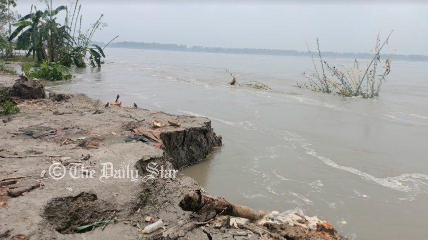 tista2.jpg