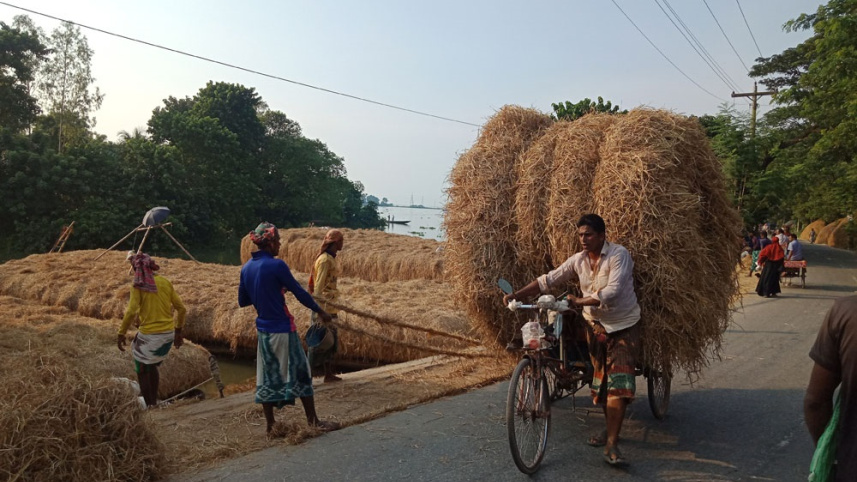 pabna_photo_dairy_feed-5.jpg
