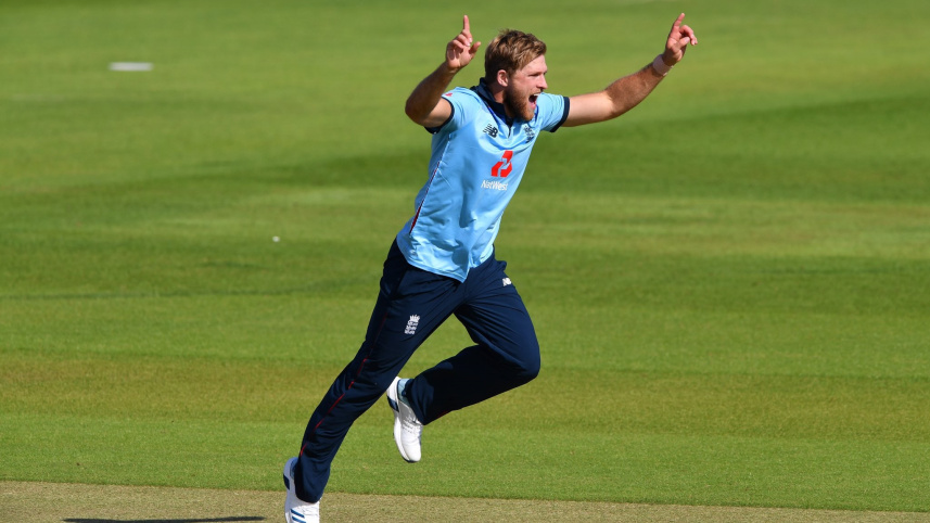 david_willey.jpg