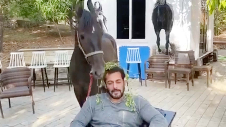 salman_khan_panvel_farmhouse.jpg