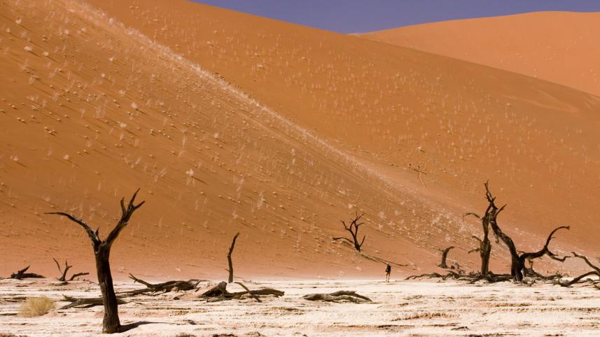 dead_vlei_sossusvlei_namib_desert_namibia_luca_galuzzi_2004.jpg