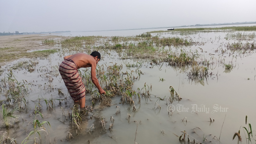 lalmonirhat_teesta_shoal_farmer-03.jpg