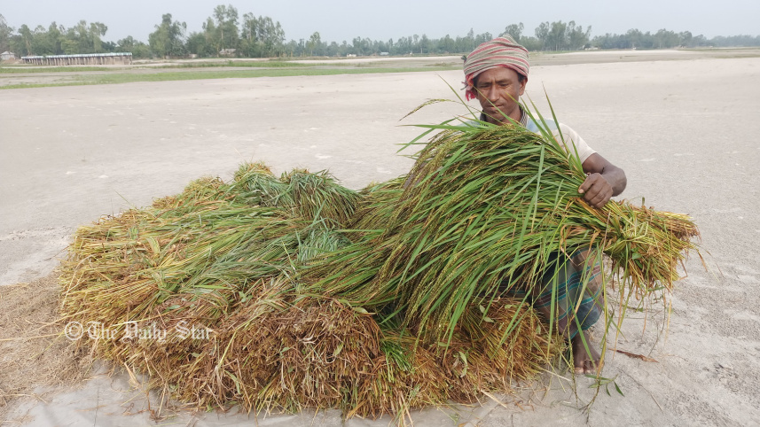 lalmonirhat_teesta_shoal_farmer-05.jpg