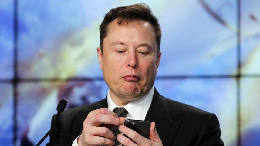 musk_web_0.jpg
