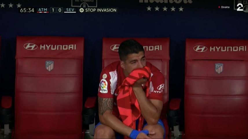 suarez.jpg