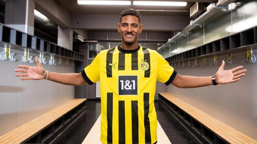 haller.jpg