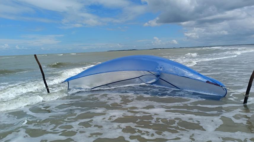 চিংড়ি রেণু.jpg