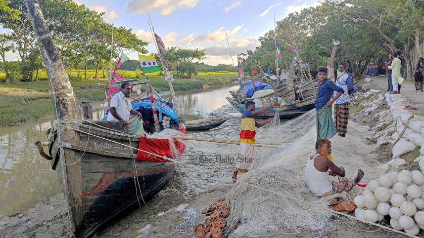 ভোলা ইলিশ