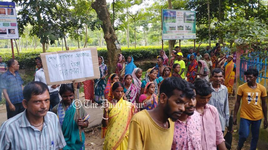 চা-শ্রমিক