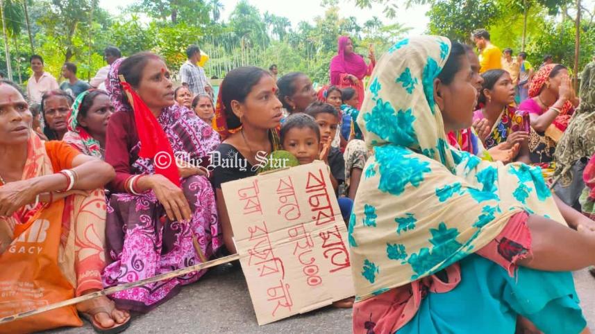 চা-শ্রমিক