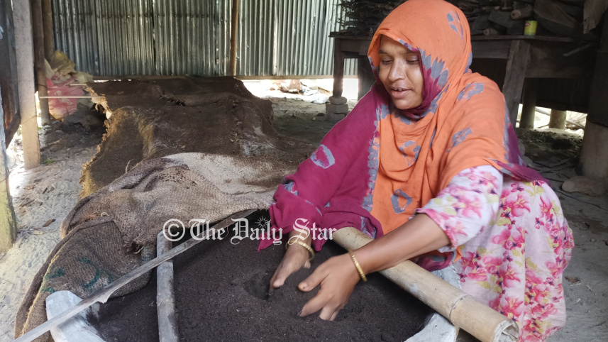 ভার্মি কম্পোস্ট