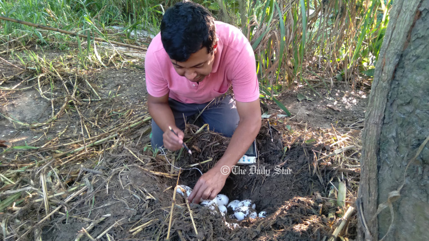 mymensingh_croc_egg_collection.jpg
