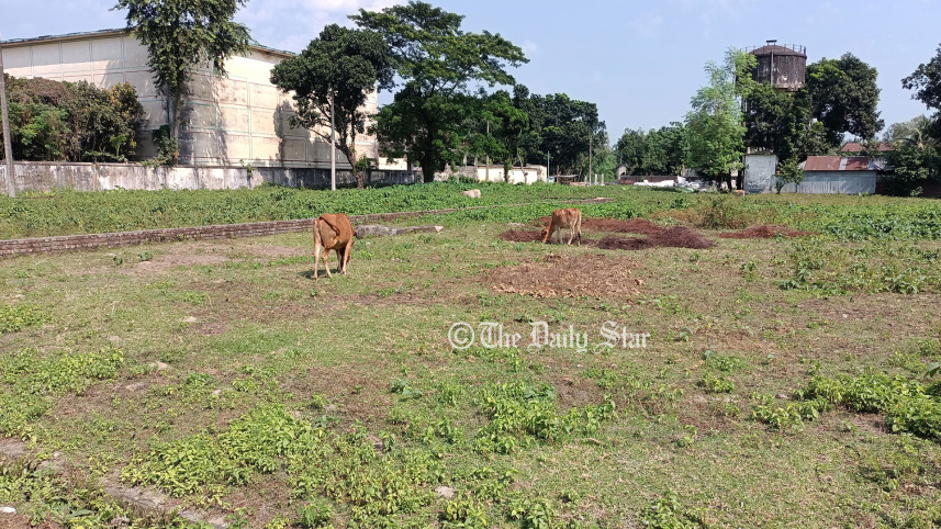 প্লট ফাঁকা : লালমনিরহাট বিসিক শিল্পনগরী: ১০৭ প্লটের মধ্যে ৩২ বছরে চালু ৬১