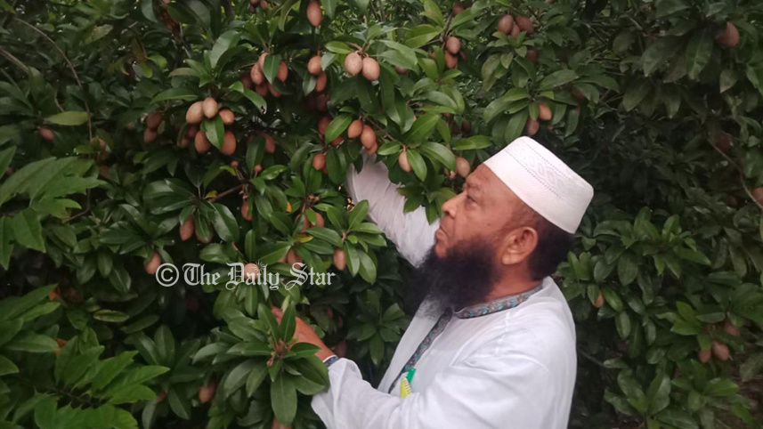 প্রচলিত কৃষির ধারণা