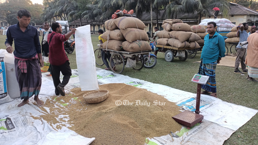 ধানের দাম : ধানের বাজারদরে খুশি লালমনিরহাটের কৃষক।