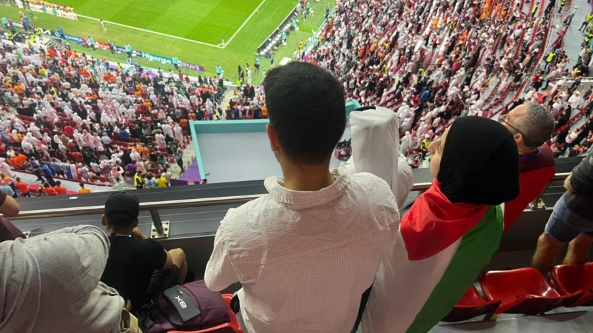 World Cup Football Fan