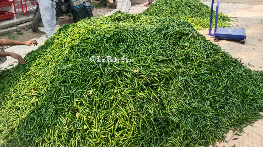 মরিচের দাম কম