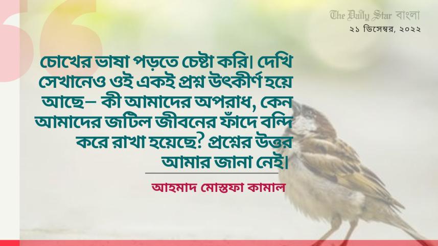 bangla_web_39.jpg
