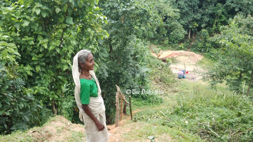 চা বাগানে পানি সংকট