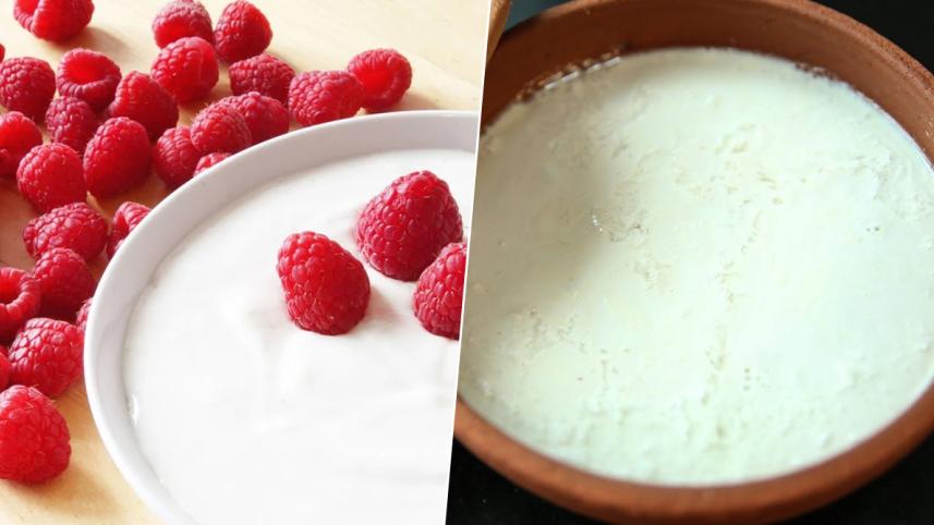 yoghurt-and-dahi-difference.jpg