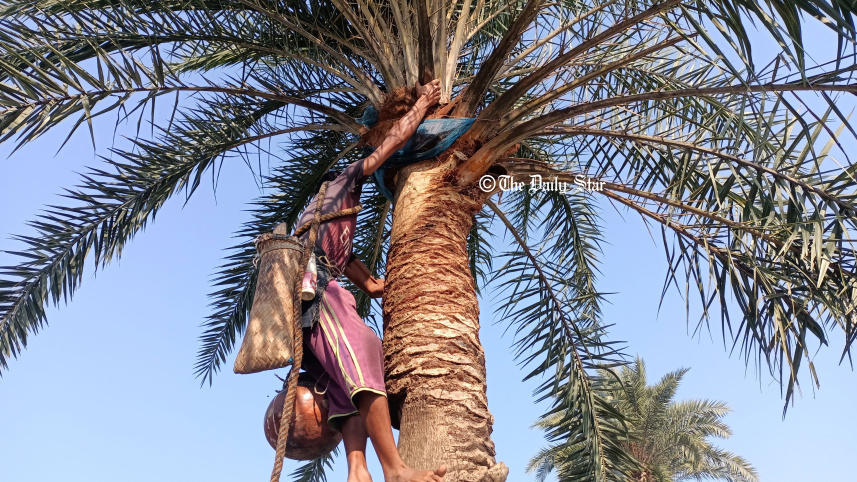 খেজুরের গুড়