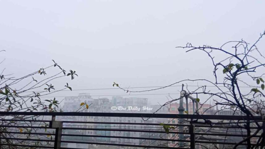 শৈত্যপ্রবাহ