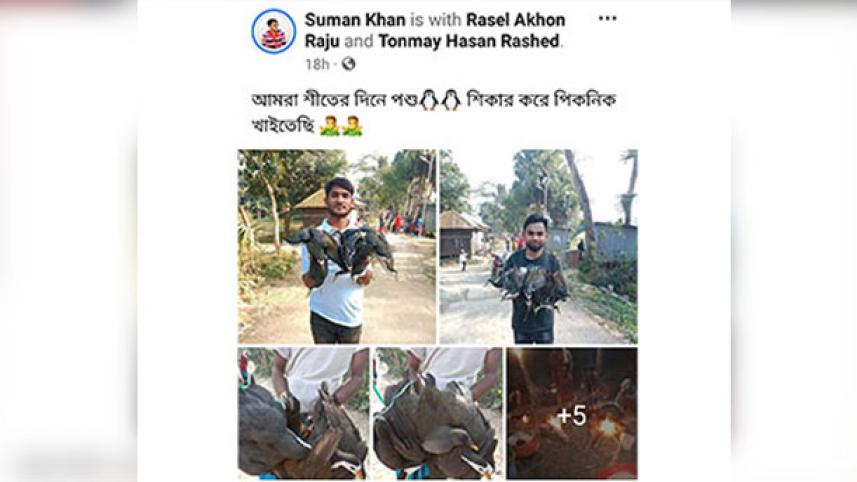বাউফলে পরিযায়ী পাখি শিকার করে পিকনিক, ফেসবুকে স্ট্যাটাস