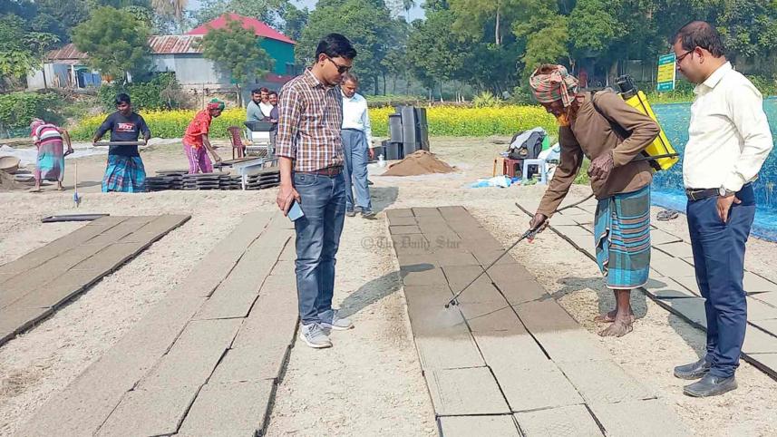 সমলয় পদ্ধতিতে ধান চাষ