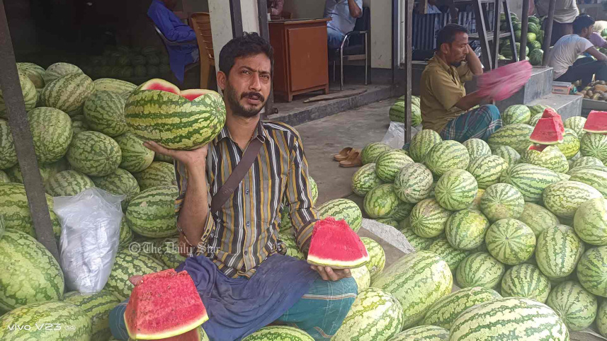 তরমুজ চাষ