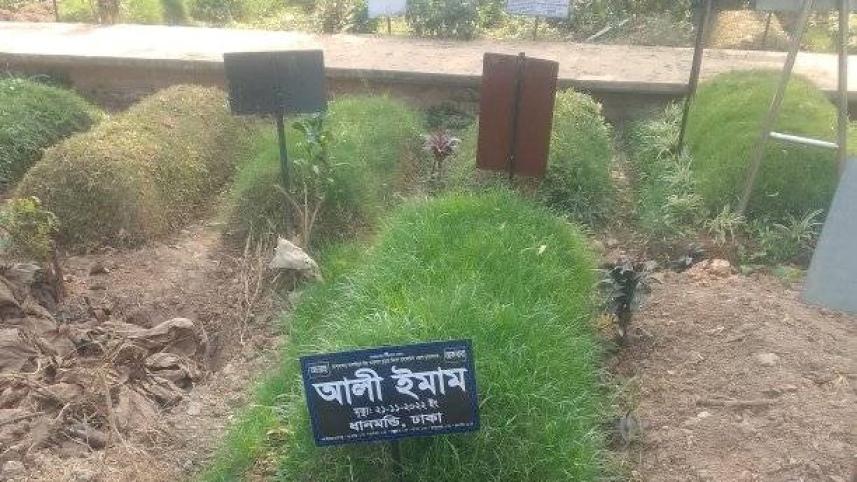 আলী ইমাম