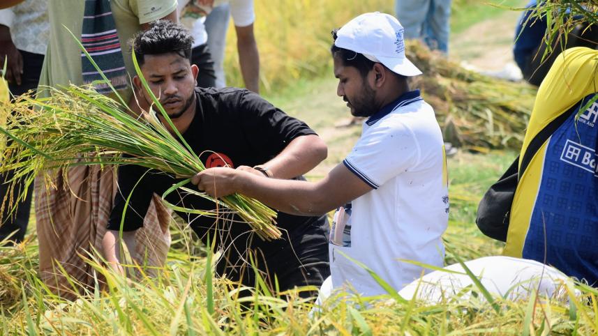 ছাত্রলীগ, বগুড়া, ধান,
