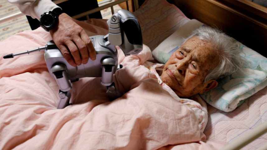 জাপান হারিয়ে যাবে