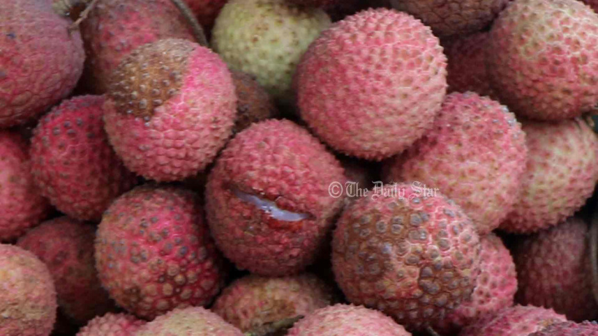 গরমে নষ্ট হচ্ছে লিচু