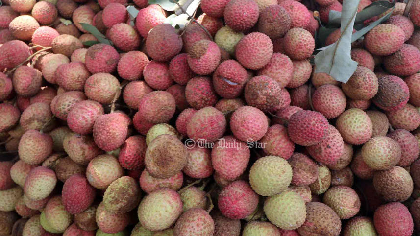 গরমে নষ্ট হচ্ছে লিচু