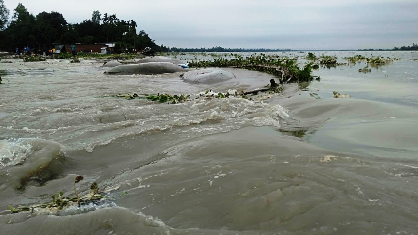 kurigram_flood_dyke-21.06_1.jpg