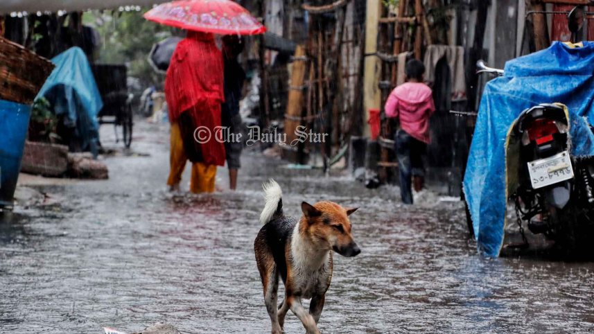 বৃষ্টিতে জলাবদ্ধতা