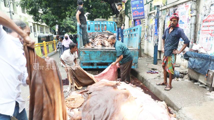 কোরবানি, গরু, ছাগল, কাঁচা চামড়া,