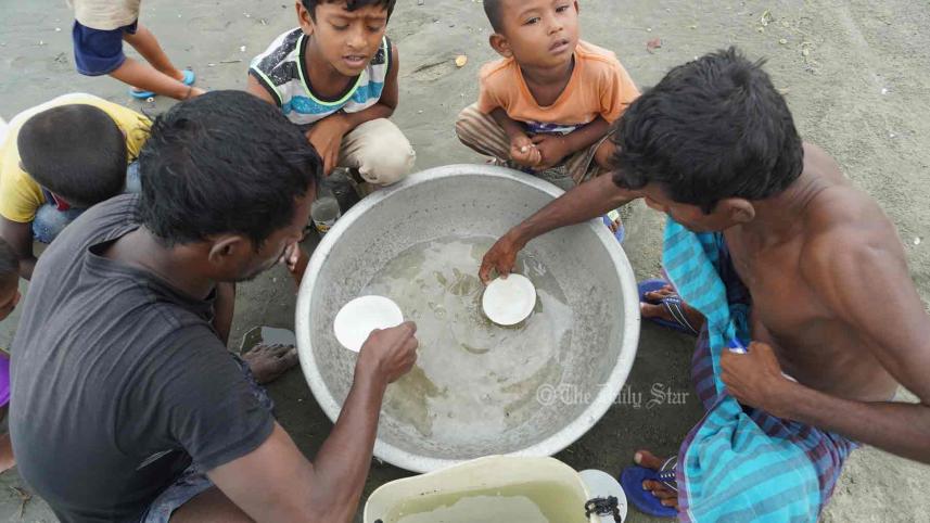 চিংড়ির পোনা