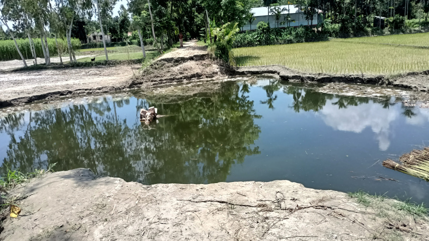 নির্মাণের ১৫ দিন পর ধসে গেল সেতু