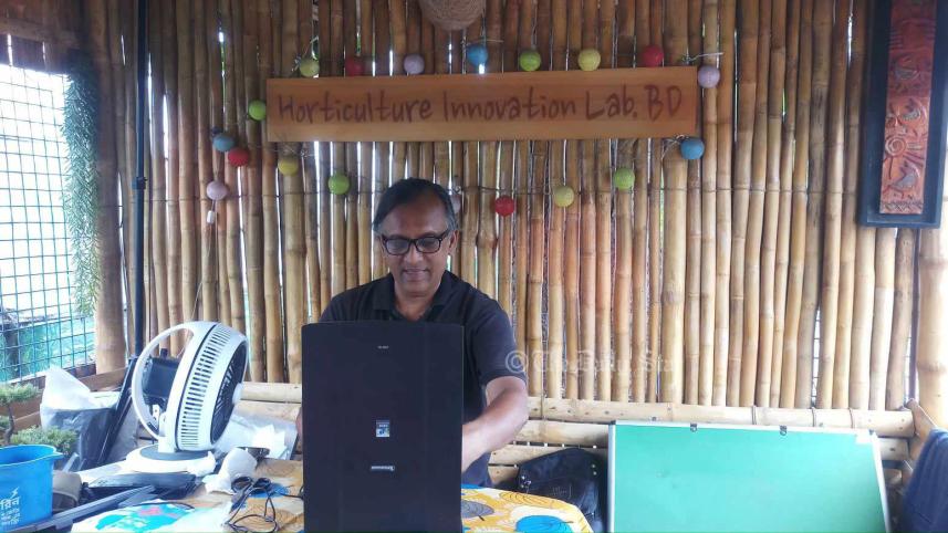 নন্দিনী ফুল