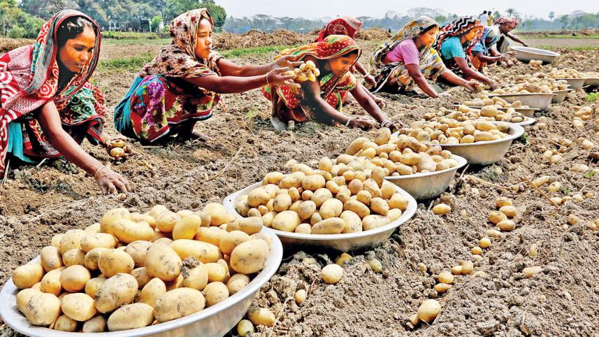 জাতীয় ভোক্তা অধিকার সংরক্ষণ অধিদপ্তর, আলু, বাণিজ্য মন্ত্রণালয়, কৃষি বিপণন অধিদপ্তর,