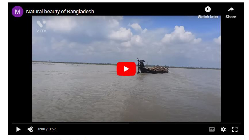 ডিটিউব। ছবি: সংগৃহীত