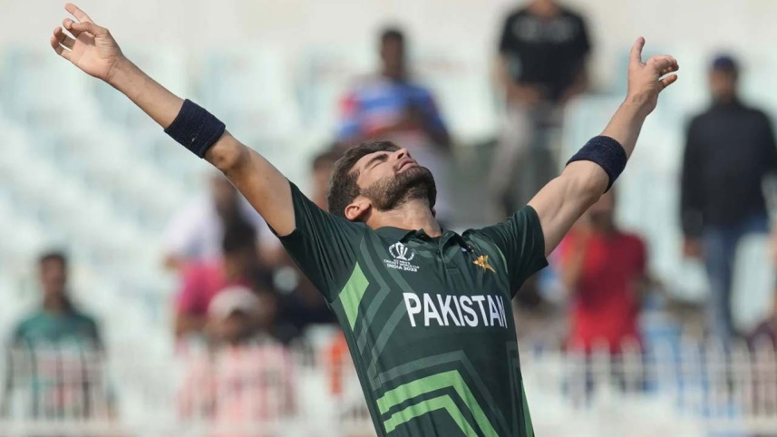 বোলারদের র‍্যাঙ্কিংয়ের শীর্ষে শাহিন