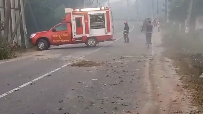 মা‌নিকগ‌ঞ্জে মহাসড়কে গাছ ফেলে অবরোধ, বিএনপির মিছিল