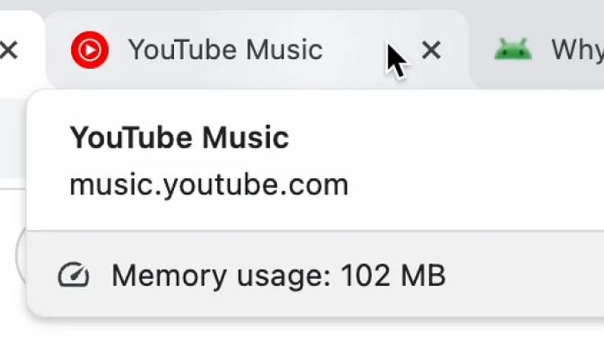 ট্যাব মেমোরি ইউসেজ ফিচার। ছবি: সংগৃহীত