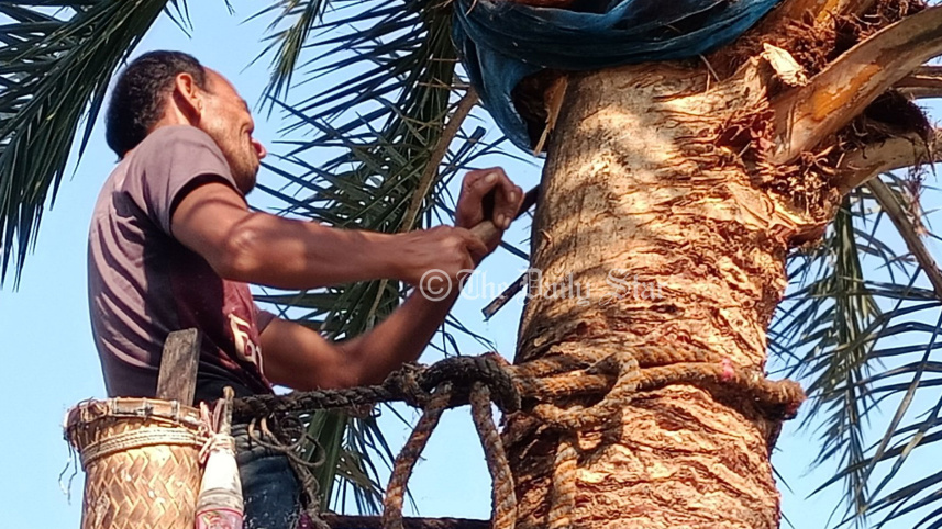 উত্তরে শীতের আমেজ, ঢাকায় আজ তাপমাত্রা সামান্য বাড়তে পারে